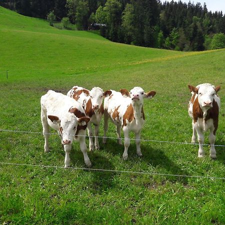 Bio-Bauernhof Niederlehen Villa Fieberbrunn Luaran gambar