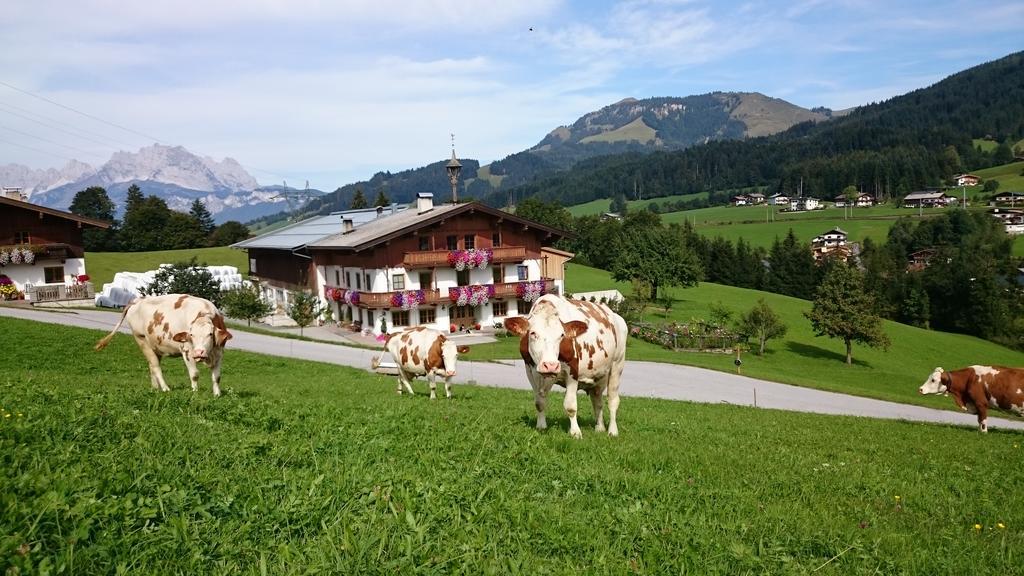 Bio-Bauernhof Niederlehen Villa Fieberbrunn Luaran gambar